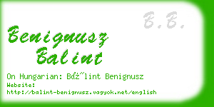 benignusz balint business card